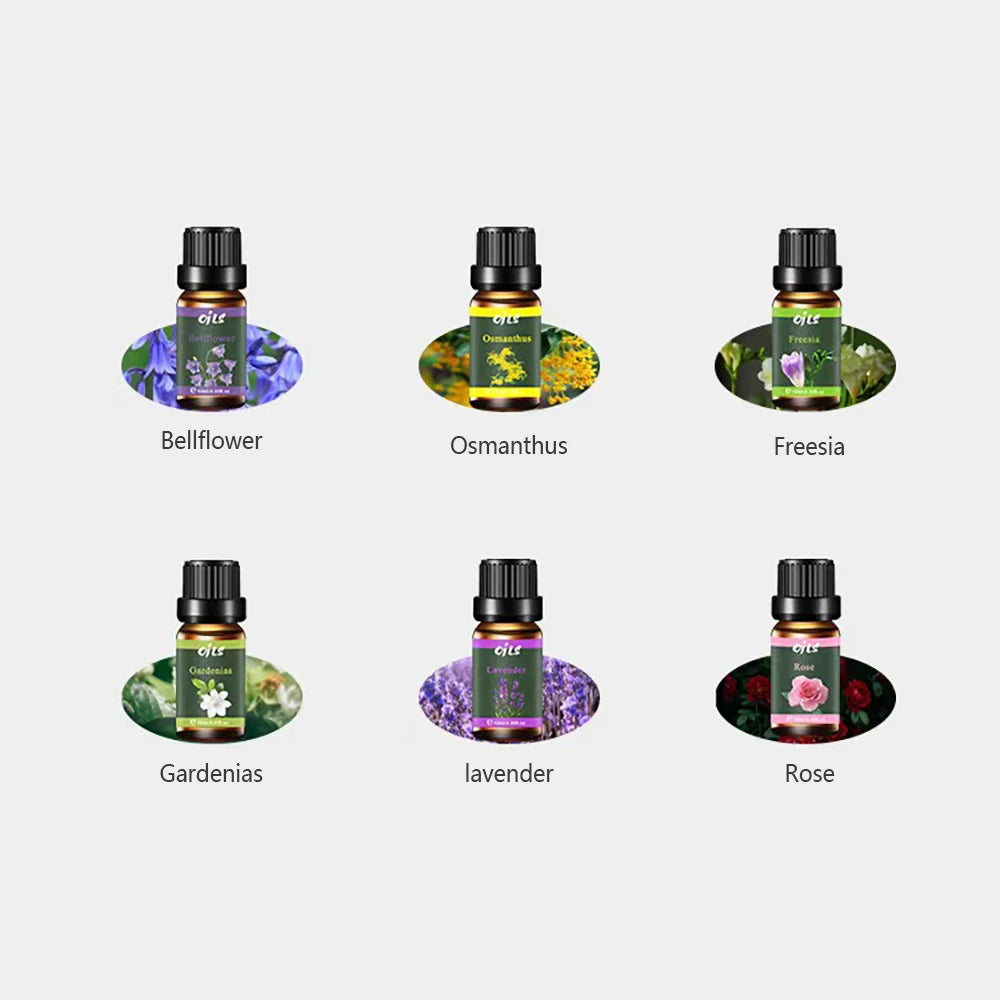 Diffuser For Home Luxury Essential Oil Collection (6 x 10ml) Premium Floral Blends Including Gardenias Freesia Holiday Gift B