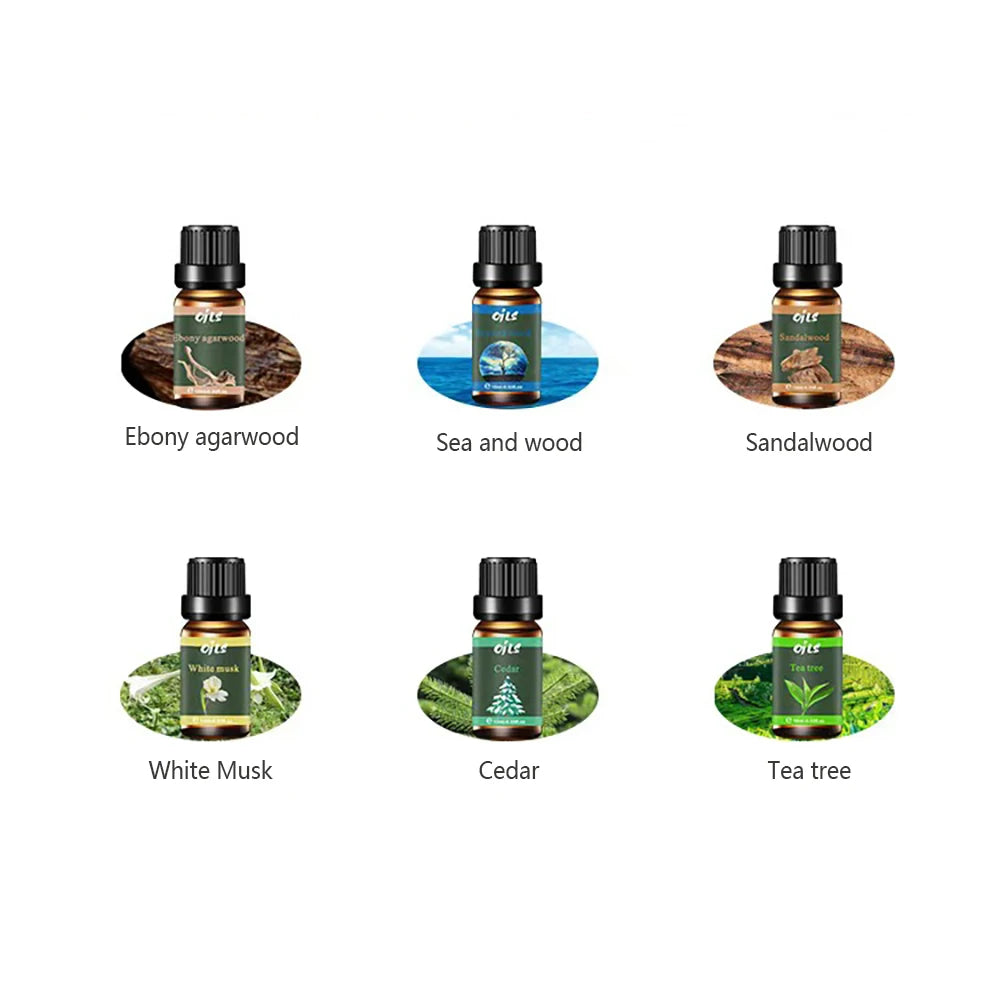 Diffuser For Home 6 Piece Essential Oil Set with 6 Fragrance Options  Oils for Aromatherapy  Used For Diffuser Aroma