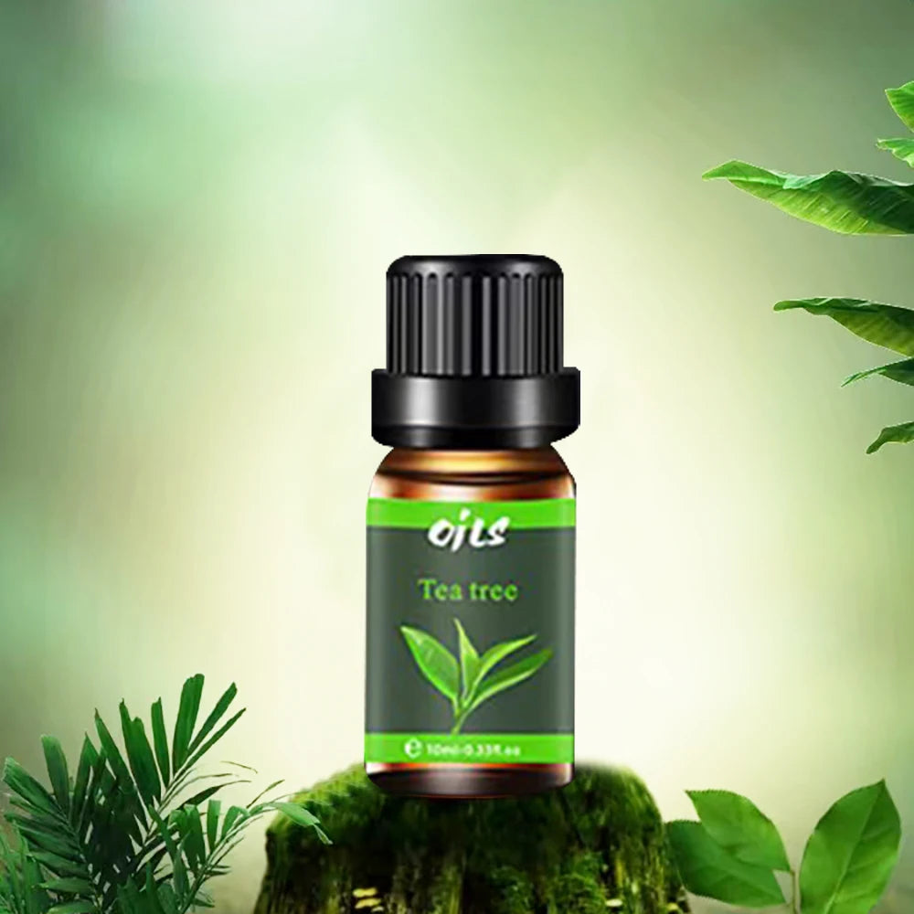 Diffuser For Home 6 Piece Essential Oil Set with 6 Fragrance Options  Oils for Aromatherapy  Used For Diffuser Aroma