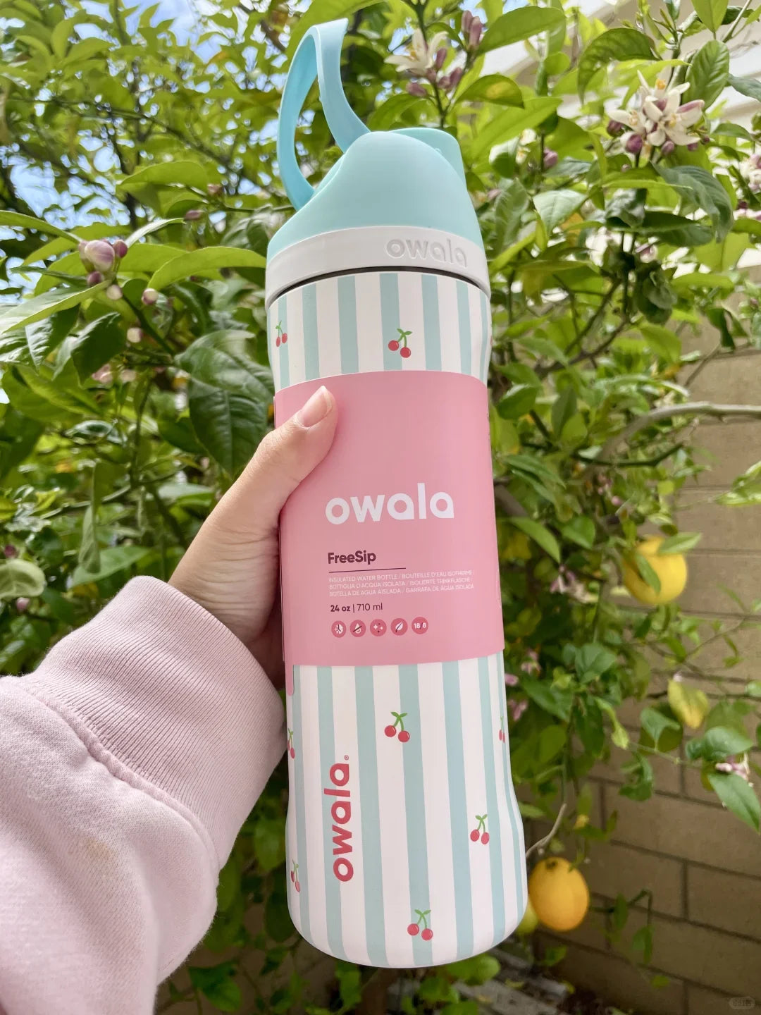 Insulated Stainless Steel Water Bottle with Straw, BPA-Free Sports Water Bottle, Great for Travel, 24Oz/32 Oz,