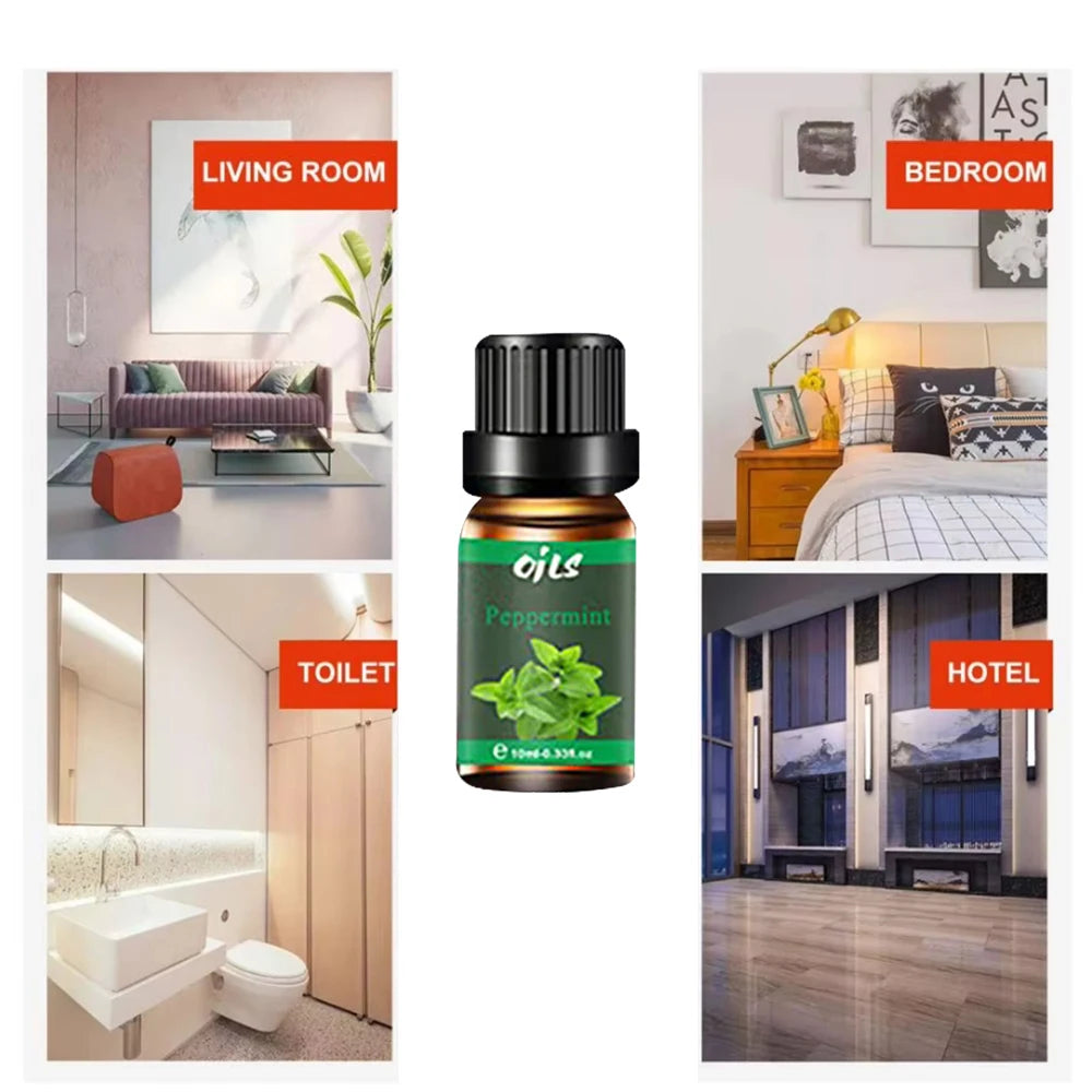 Diffuser For Home 6 piece set of 10ML Aromatherapy essential oil Home Room Fragrance Naturally freshens room diffuser fragrance