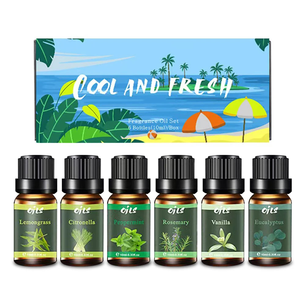 Diffuser For Home 6 piece set of 10ML Aromatherapy essential oil Home Room Fragrance Naturally freshens room diffuser fragrance